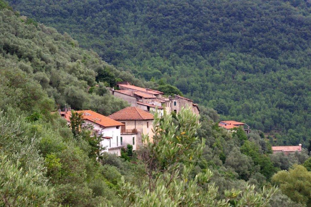Agriturismo Nonnamelia Nasino Luaran gambar